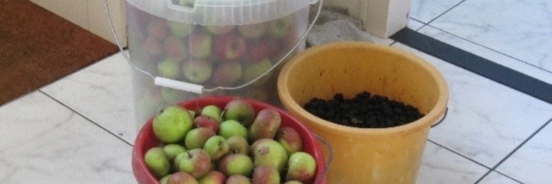 10 soorten fruit uit je tuin. | Schorelaar