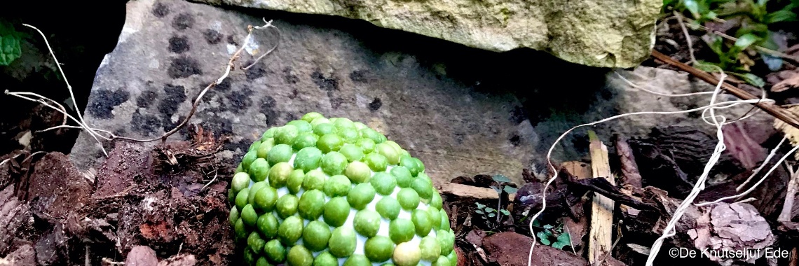 Dinosaurus ei knutselen van spliterwten | De Knutseljuf ✂️🇳🇱