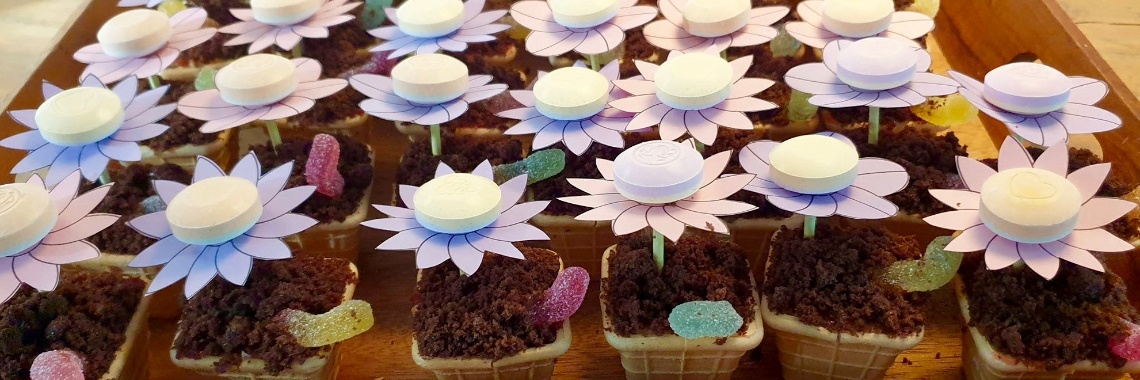 Kindertraktatie lollybloem in moestuintje | De Knutseljuf ✂️🇳🇱
