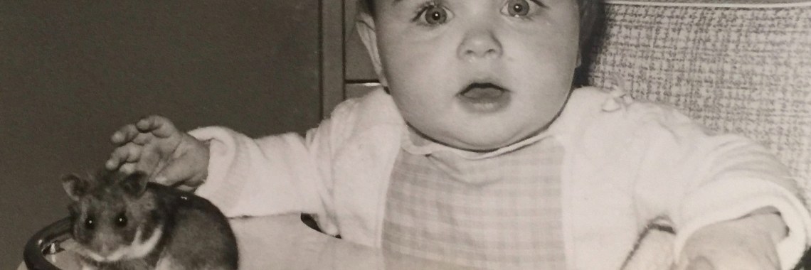 Mijn Hammie leefde jaren en jaren.. | De Knutseljuf ✂️🇳🇱