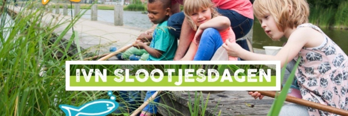 Landelijke Slootjesdagen - wat leeft er in de sloot? | De Knutseljuf ✂️🇳🇱