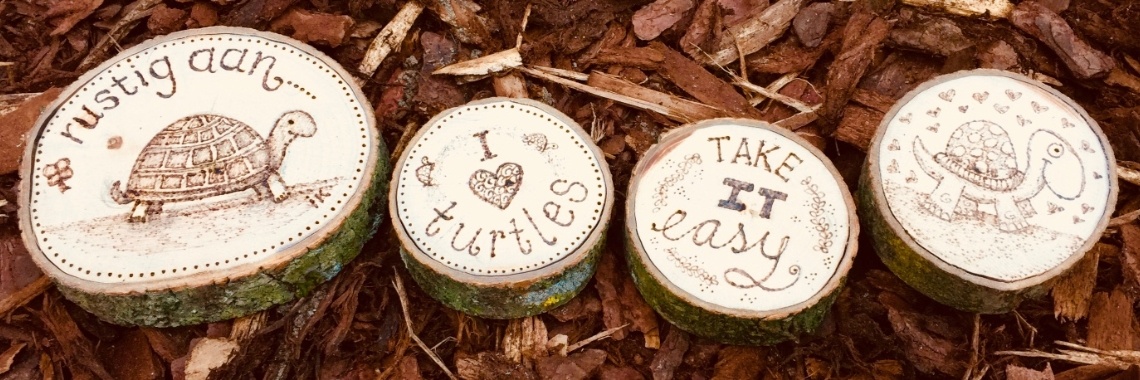 Schildpad brandschilderen op hout - pyrografie | De Knutseljuf ✂️🇳🇱