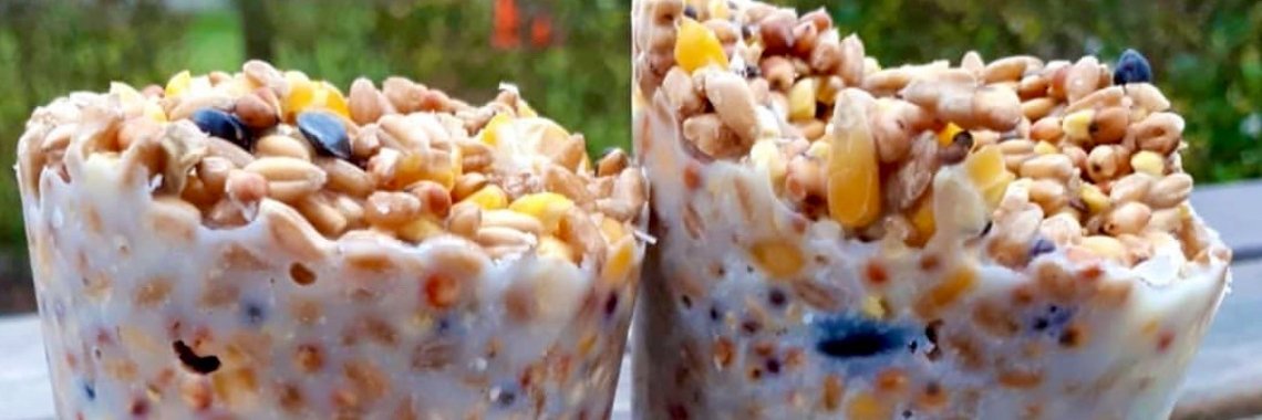 Vetbollen zelf maken | De Knutseljuf ✂️🇳🇱