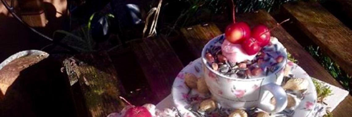 Vogelvoederplankje met kop en schotel en taartje | De Knutseljuf ✂️🇳🇱