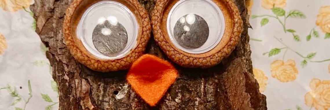 Creatief met boomschors | De Knutseljuf ✂️🇳🇱