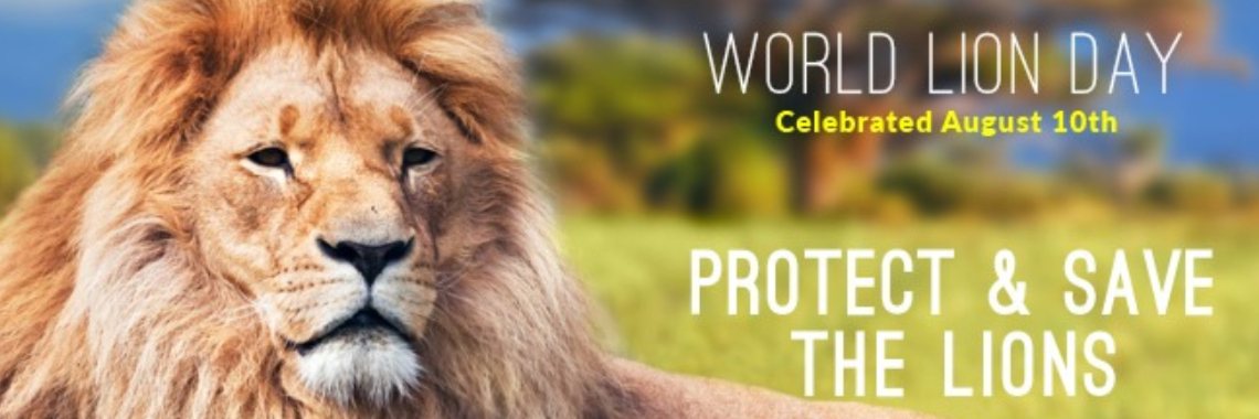 World Lion Day - August 10 | De Knutseljuf ✂️🇳🇱