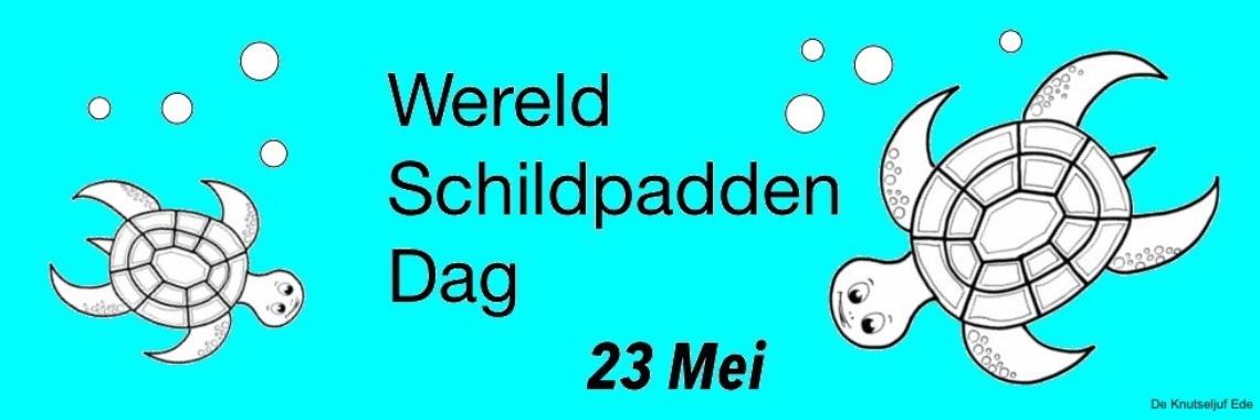 Wereld Schildpadden Dag - 23 Mei | De Knutseljuf ✂️🇳🇱