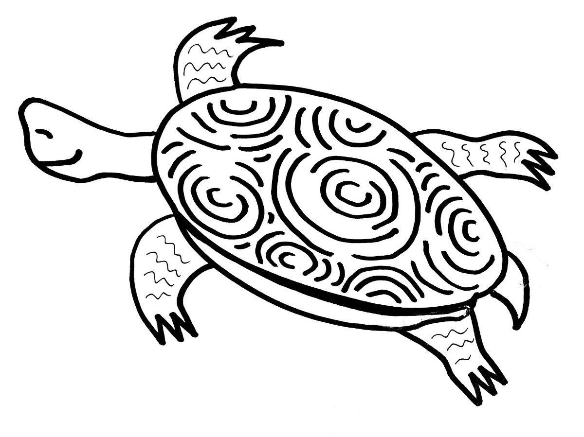 Дальневосточная черепаха раскраска