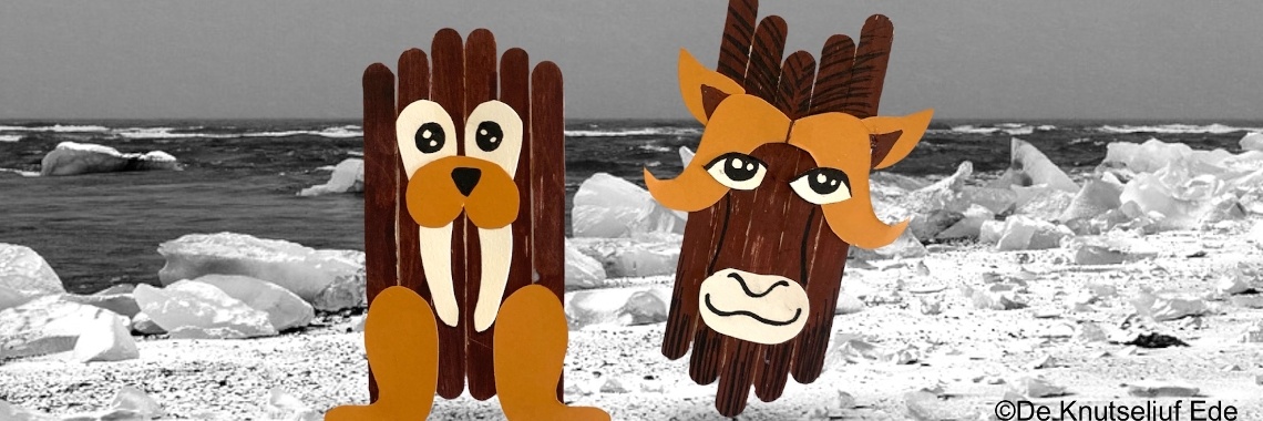 Walrus en Muskusos knutselen met ijslollystokjes | De Knutseljuf ✂️🇳🇱