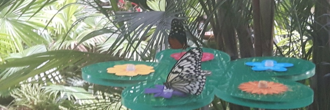 Mooie foto's | caro.sael