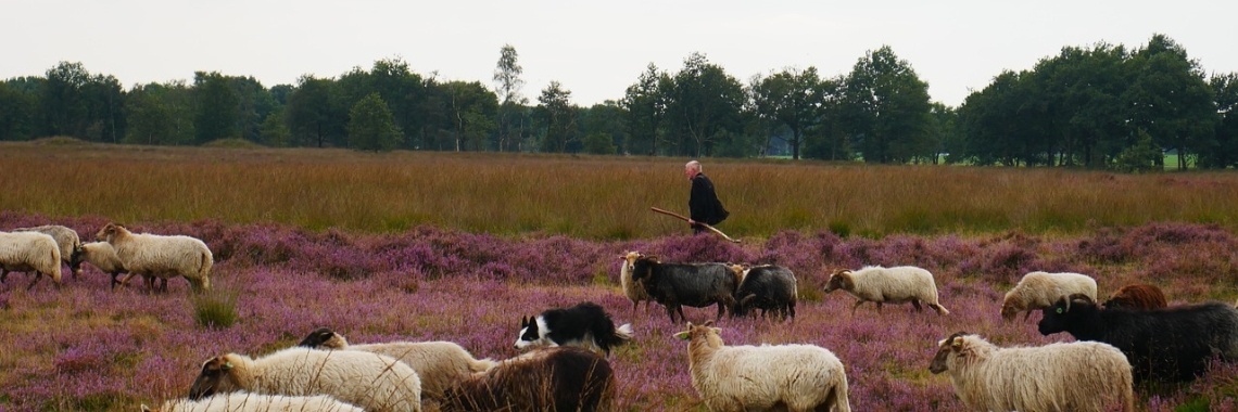 De kluizenaar | Yvonne