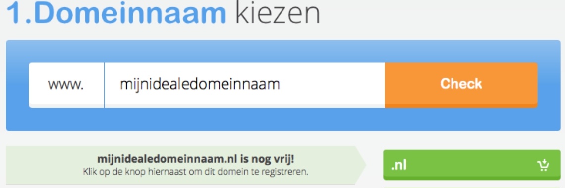 Domeinnaam nl checken met een simpele muis klik. | Yoors Landing Pages