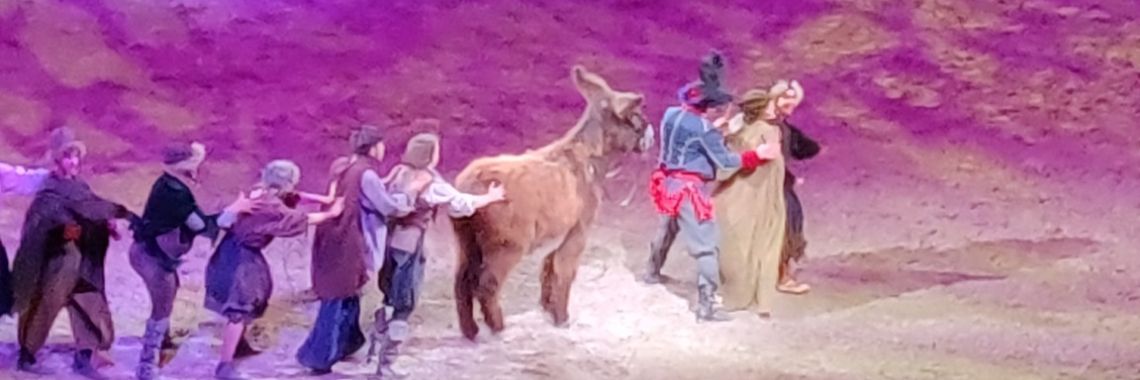 Cavalluna ahoy, mijn ervaring | Sanne