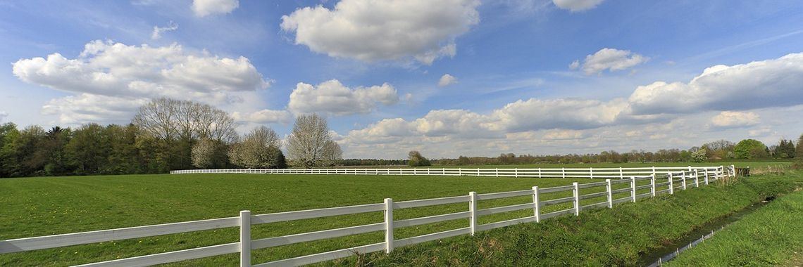 Mijn zoektocht naar een eigen paard deel 1 | Sanne