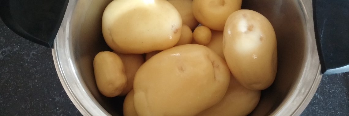 Biologische moestuin | Eric's ervaringen