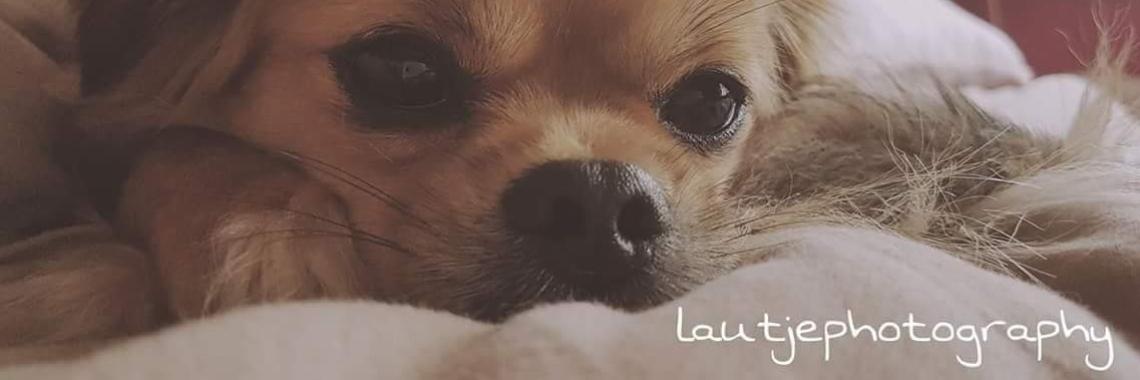 Jaa ik doe mee aan een foto wedstrijd. | lautjephotography