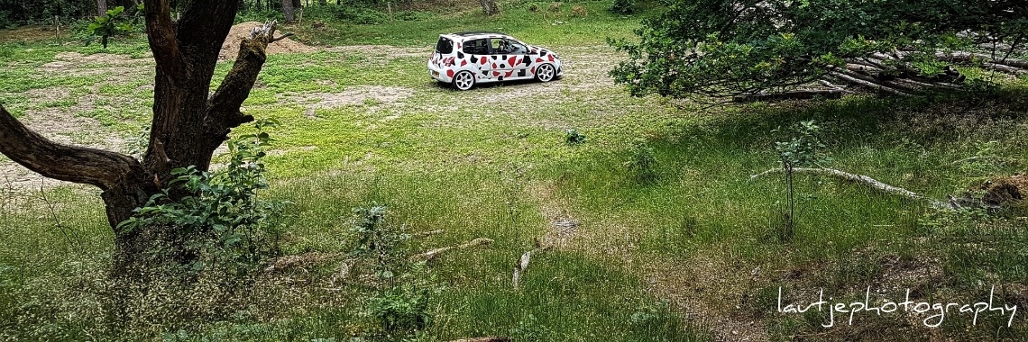 Update  | lautjephotography