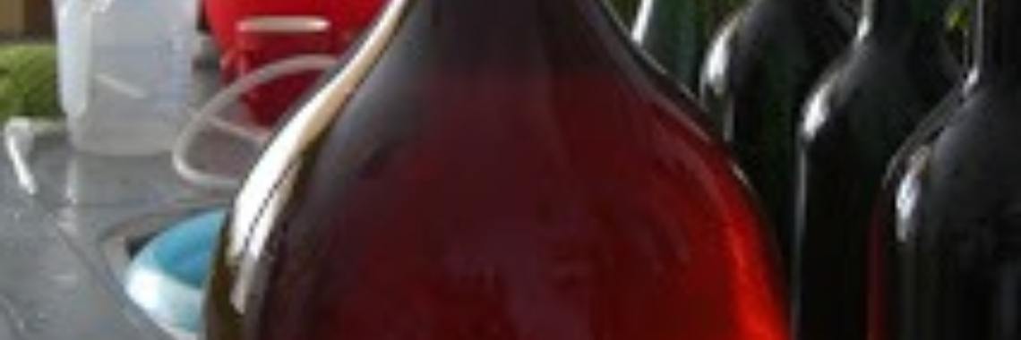 Birch sap wine | Stieny Koopmans