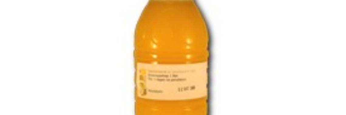 Citrus Delight | Stieny Koopmans