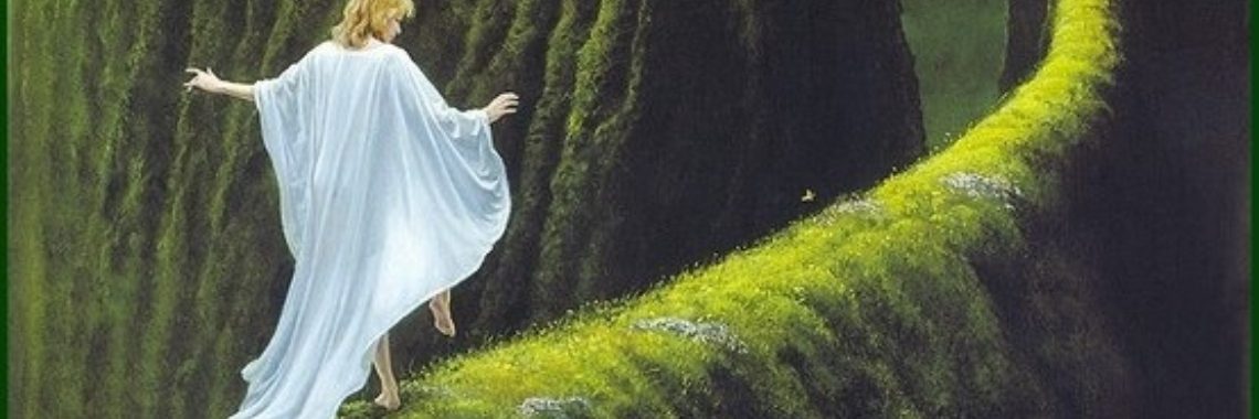 Een wereldreis | Stieny Koopmans