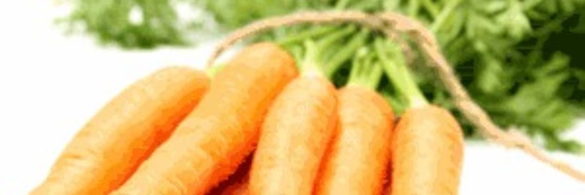 Chicken with carrots, prepared in the frying bag | Stieny Koopmans