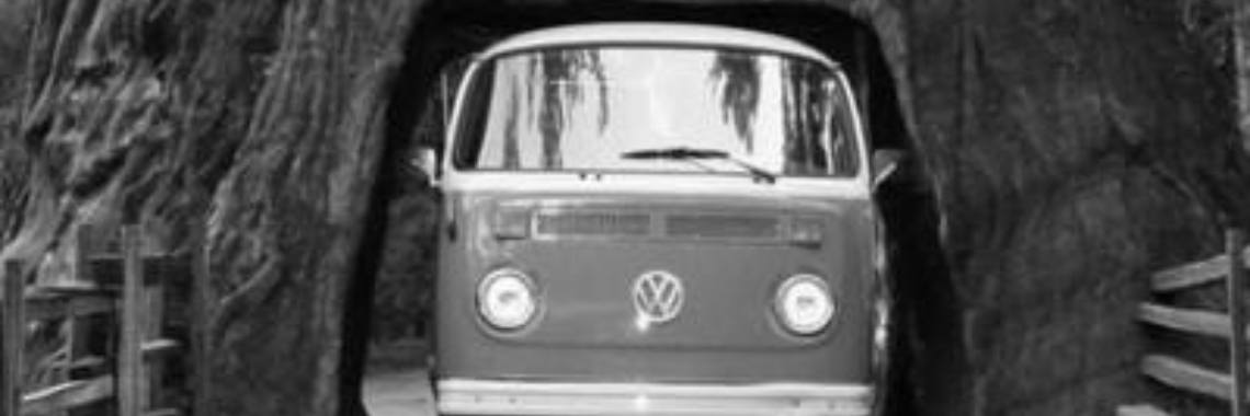 Tunnelvisie kan fataal aflopen! | Stieny Koopmans