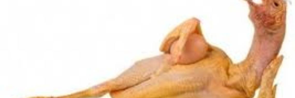 Van kapotte kip en geschrokken eieren | Stieny Koopmans