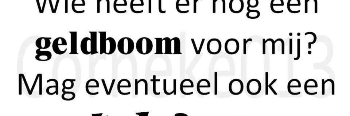 Wat bijverdienen met thuiswerk | Stieny Koopmans