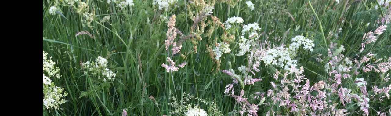 Wat hebben we van onze kinderen geleerd? | Stieny Koopmans