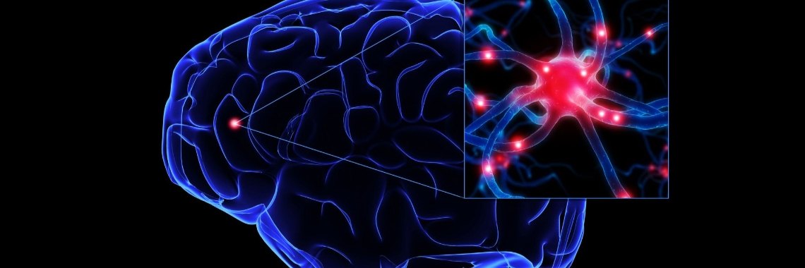 Révéler les réactions de votre cerveau à #muziek, que vous soyez musicien ou non. | Muziek