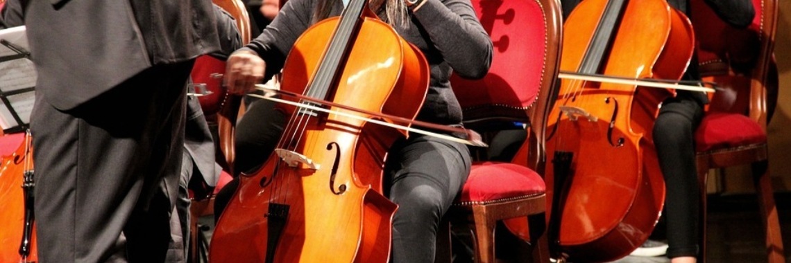 What is a double bass? | Muziek