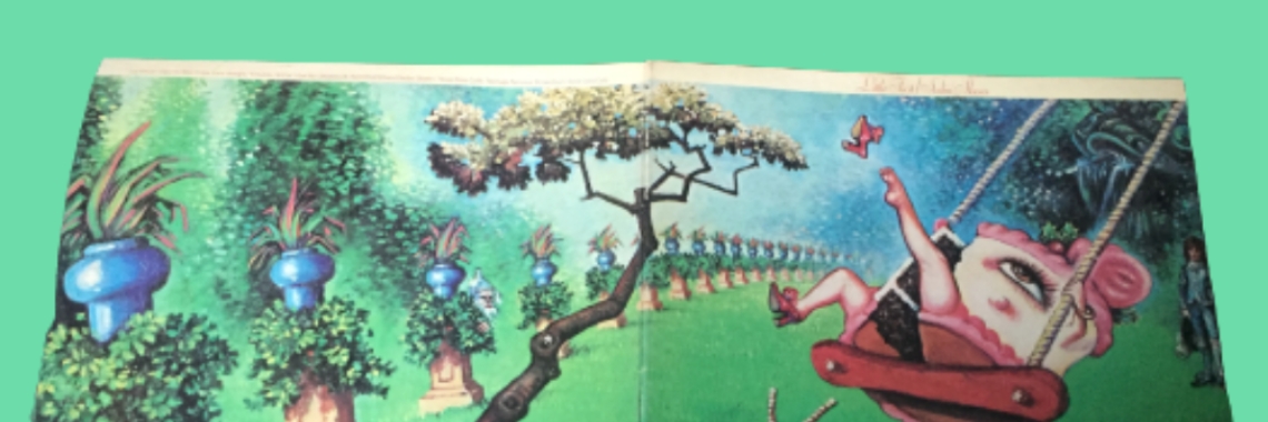70's music - Little Feat - Album Sailin' Shoes | Muziek