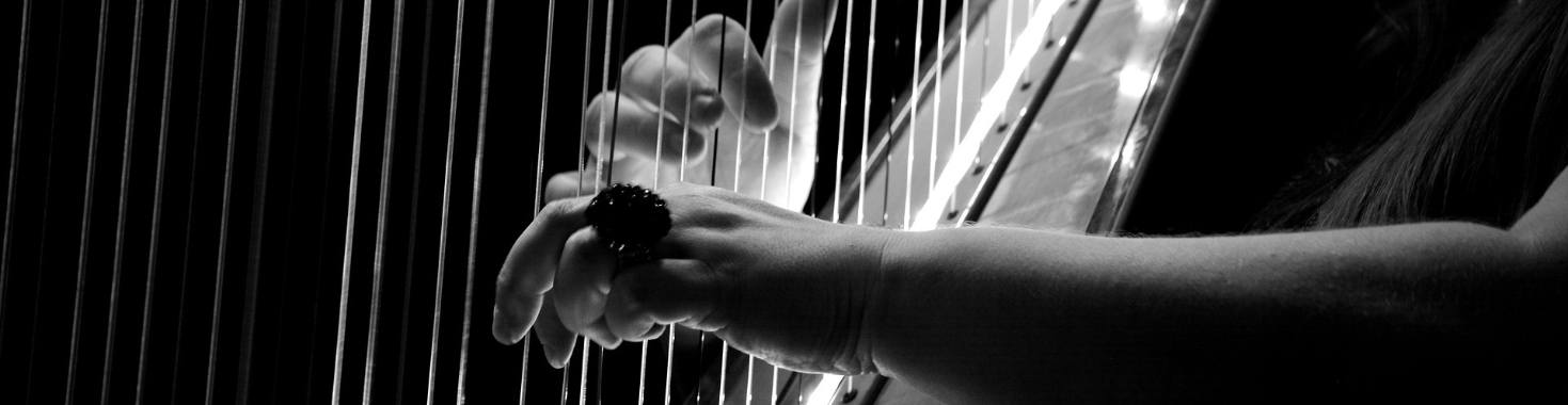 De pedaalharp: geschiedenis, speeltechniek en meer | Muziek