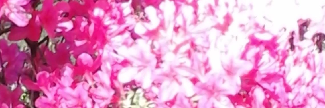 wanneer is je leven zinvol | Minnie92