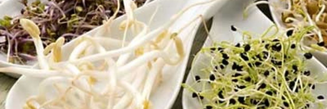 De vensterbank moestuin | elsschillemans