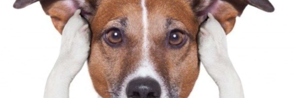 Afvallen? Bepaal zelf naar wie je luistert! | Larissa