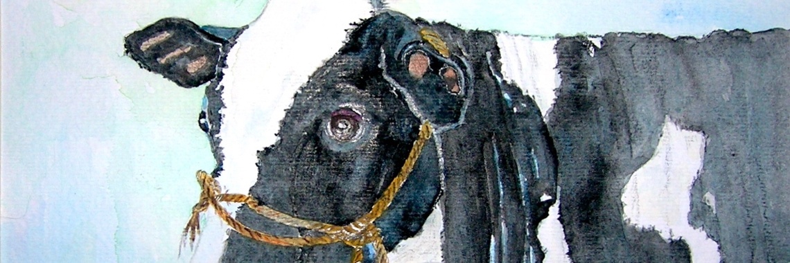 Koe - aquarel | Nol K.