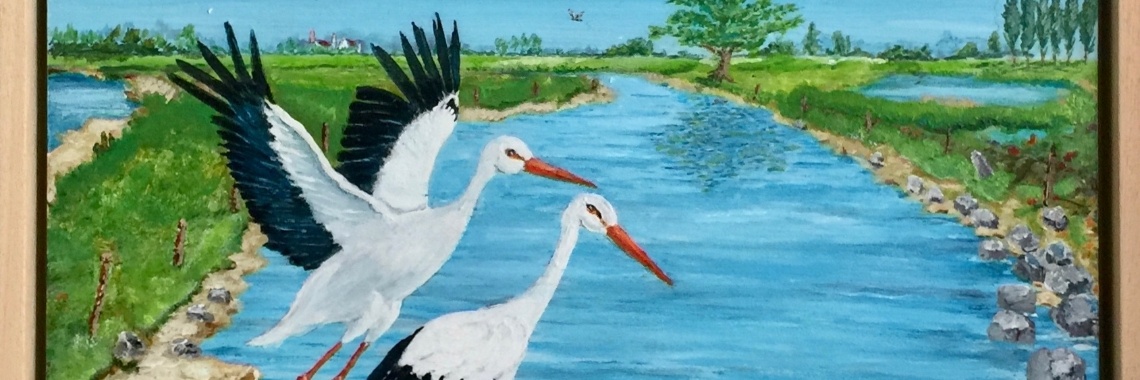 Ooievaars aan 't pootje baden | Nol K.