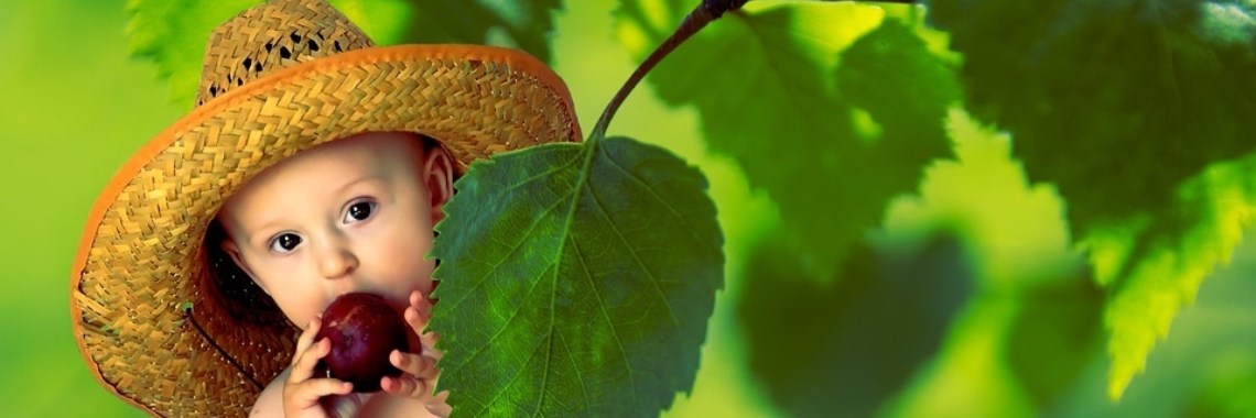 Gezonde voeding voor het jonge kind | SocialPro Snooker Coaching