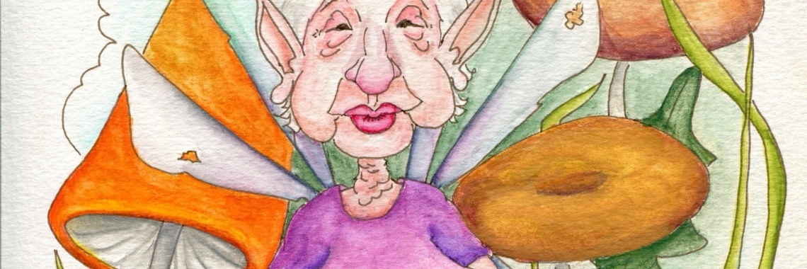 Aangenaam, Saahr! | diniedezeeuw