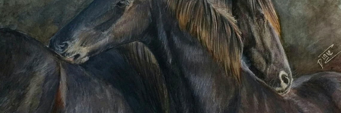 Drama, ik verpruts mijn tekening! | diniedezeeuw