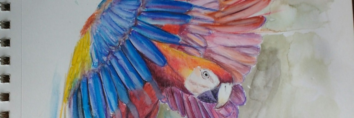 hoe moet je aquarelpotloden gebruiken? | diniedezeeuw