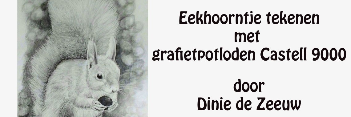Hoe teken je een eekhoorn met grafiet, tutorial youtube video | diniedezeeuw
