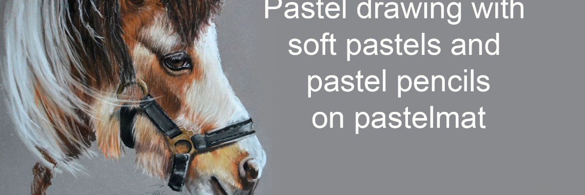 Hoe teken je een shetlander met pastelpotlood | diniedezeeuw