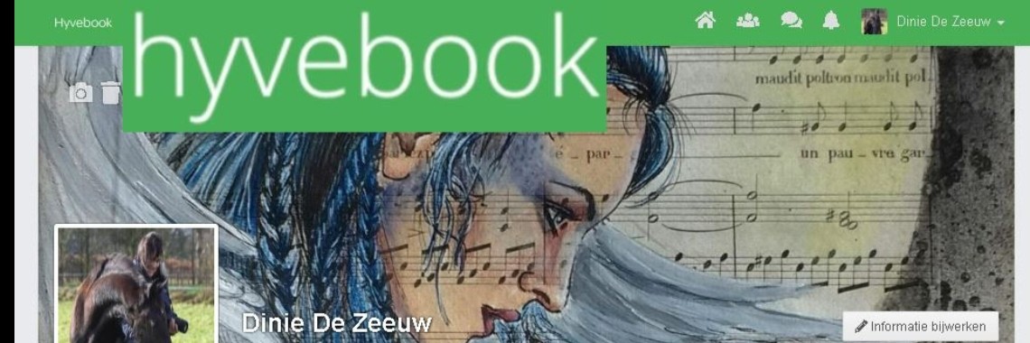 Hyvebook | diniedezeeuw