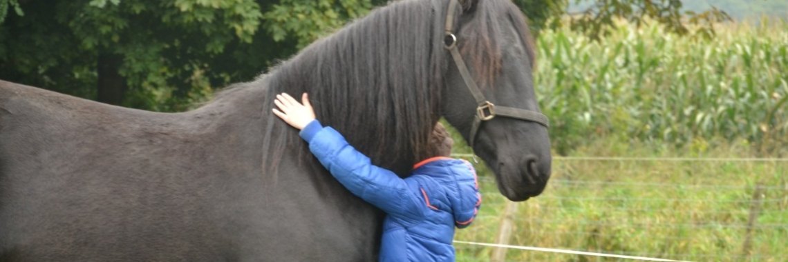 Spiegelen met een fries, Tesske deel 3 | diniedezeeuw