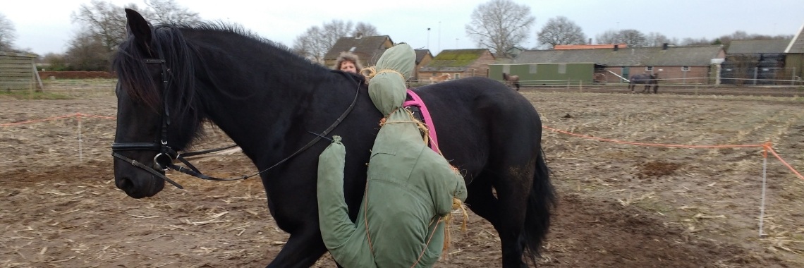 Tesske, fries paard deel 2 | diniedezeeuw