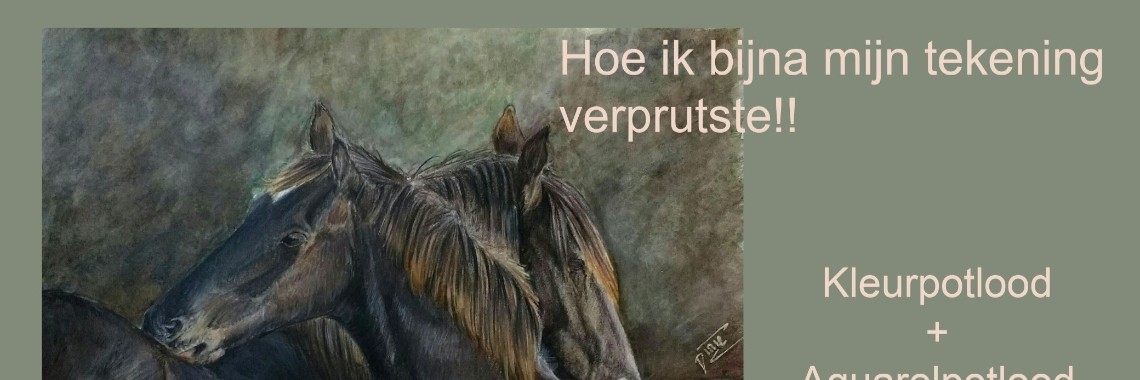 Video: hoe ik bijna mijn tekening verprutste (tutorial) | diniedezeeuw