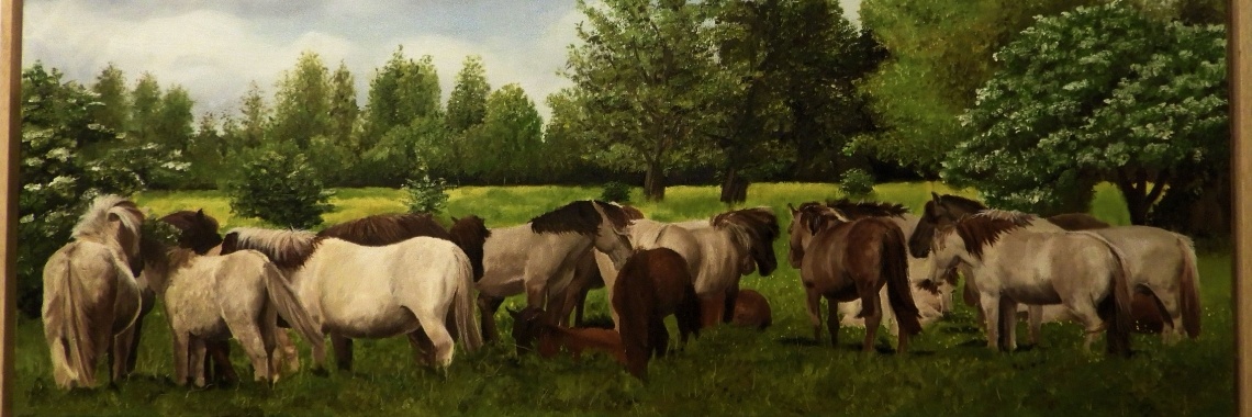 Wow, wat staat dat mooi! | diniedezeeuw