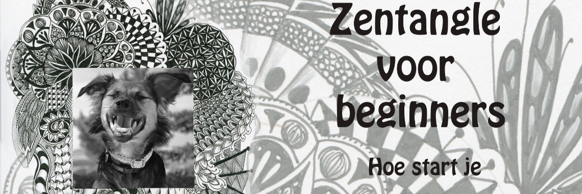 Zentangle voor beginners, tutorial | diniedezeeuw